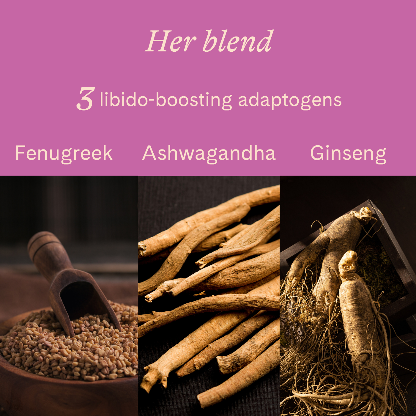 Dark couples chocolate his & hers