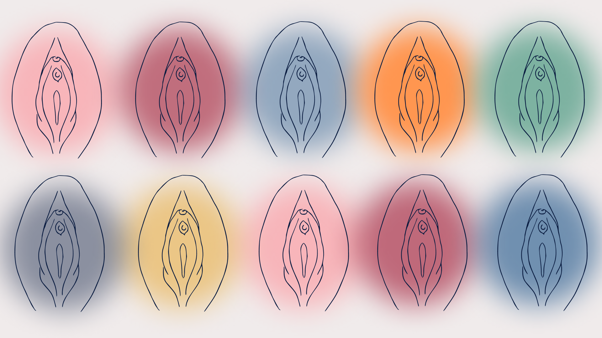 The anatomy of a vulva