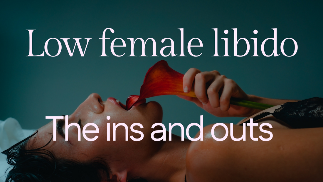 low sex drive women: what works and what doesn't