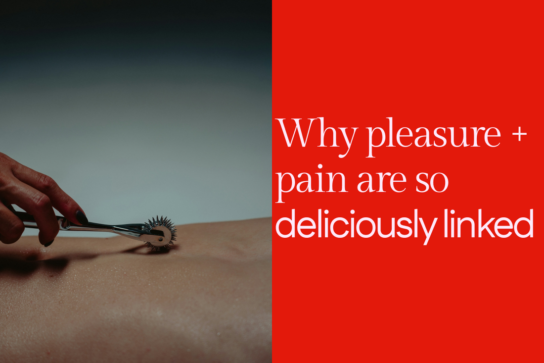 Why pain and pleasure are so closely linked